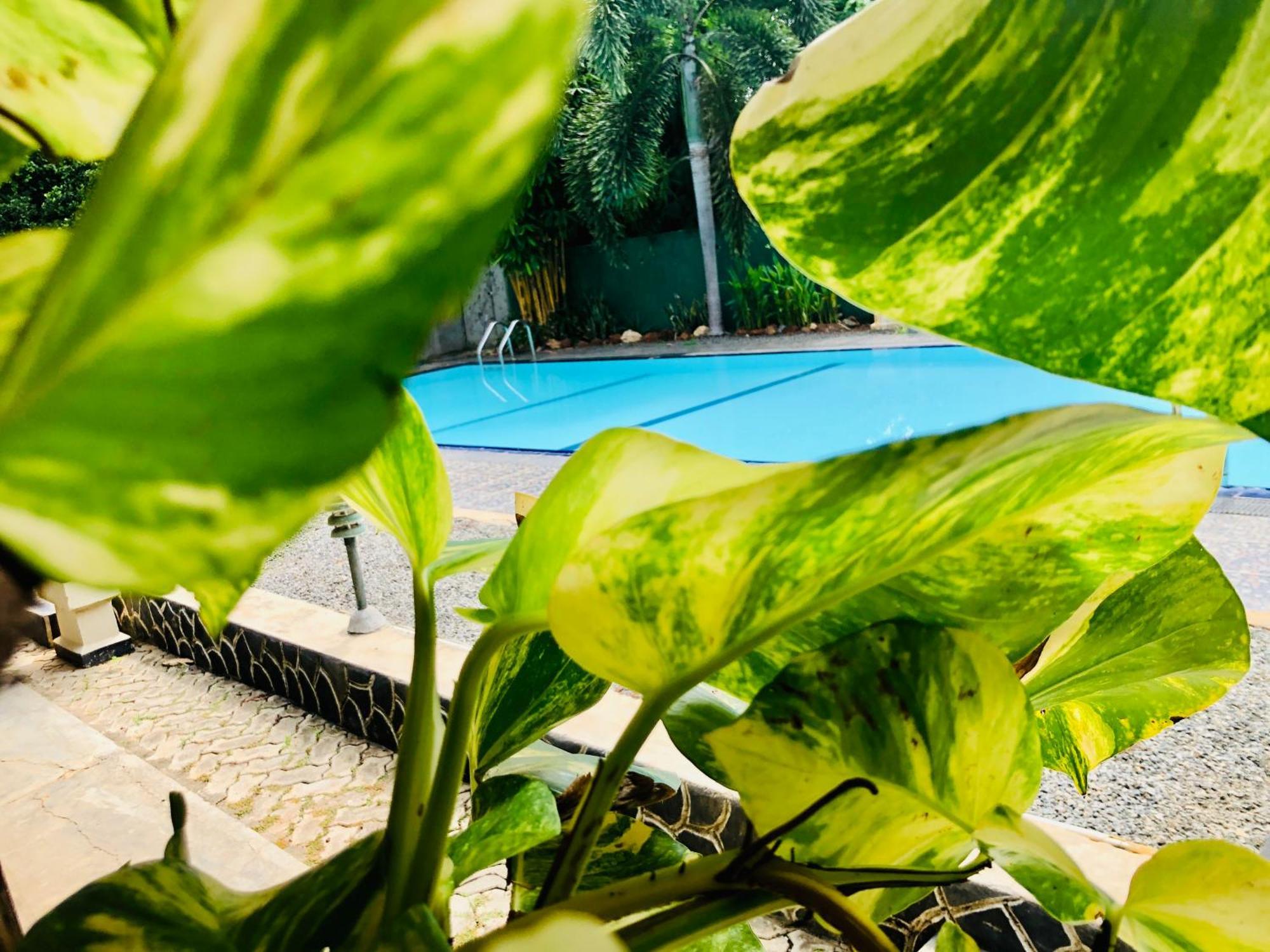 Saman Resort Yala Tissamaharama Bagian luar foto