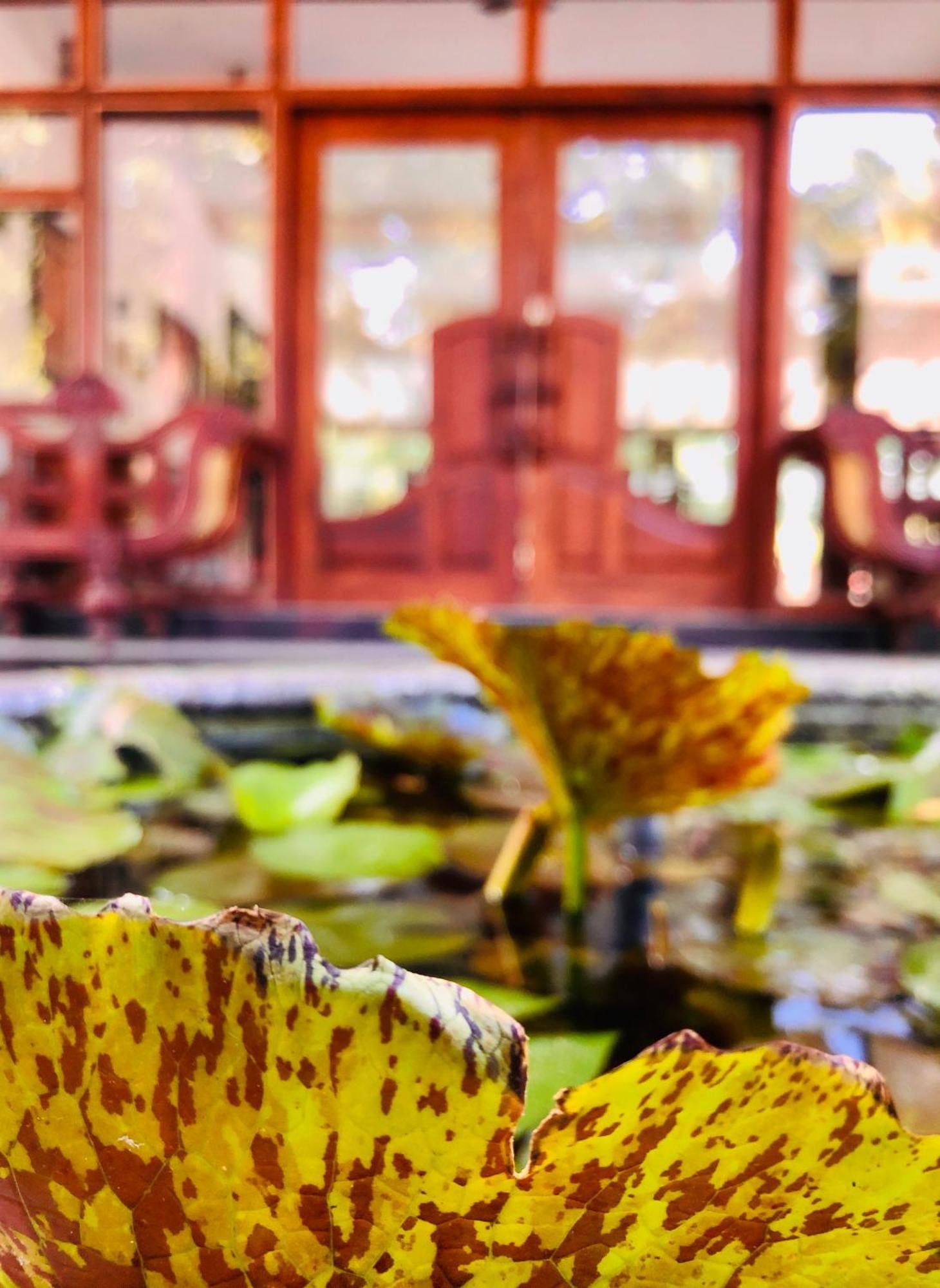 Saman Resort Yala Tissamaharama Bagian luar foto