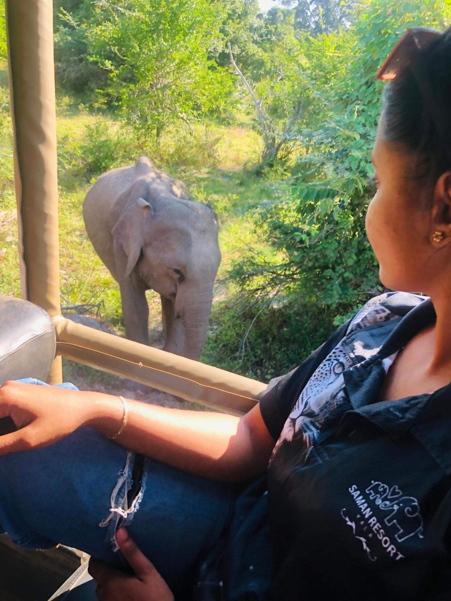 Saman Resort Yala Tissamaharama Bagian luar foto