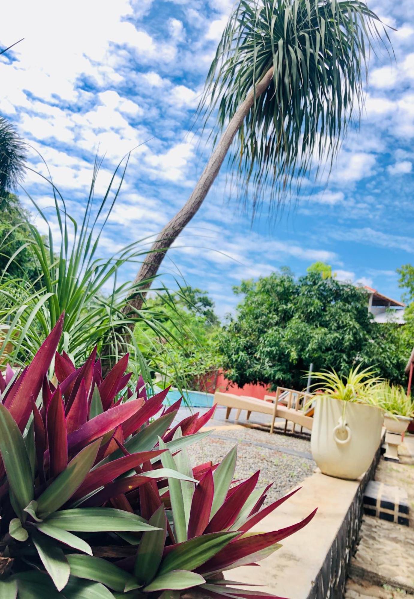Saman Resort Yala Tissamaharama Bagian luar foto