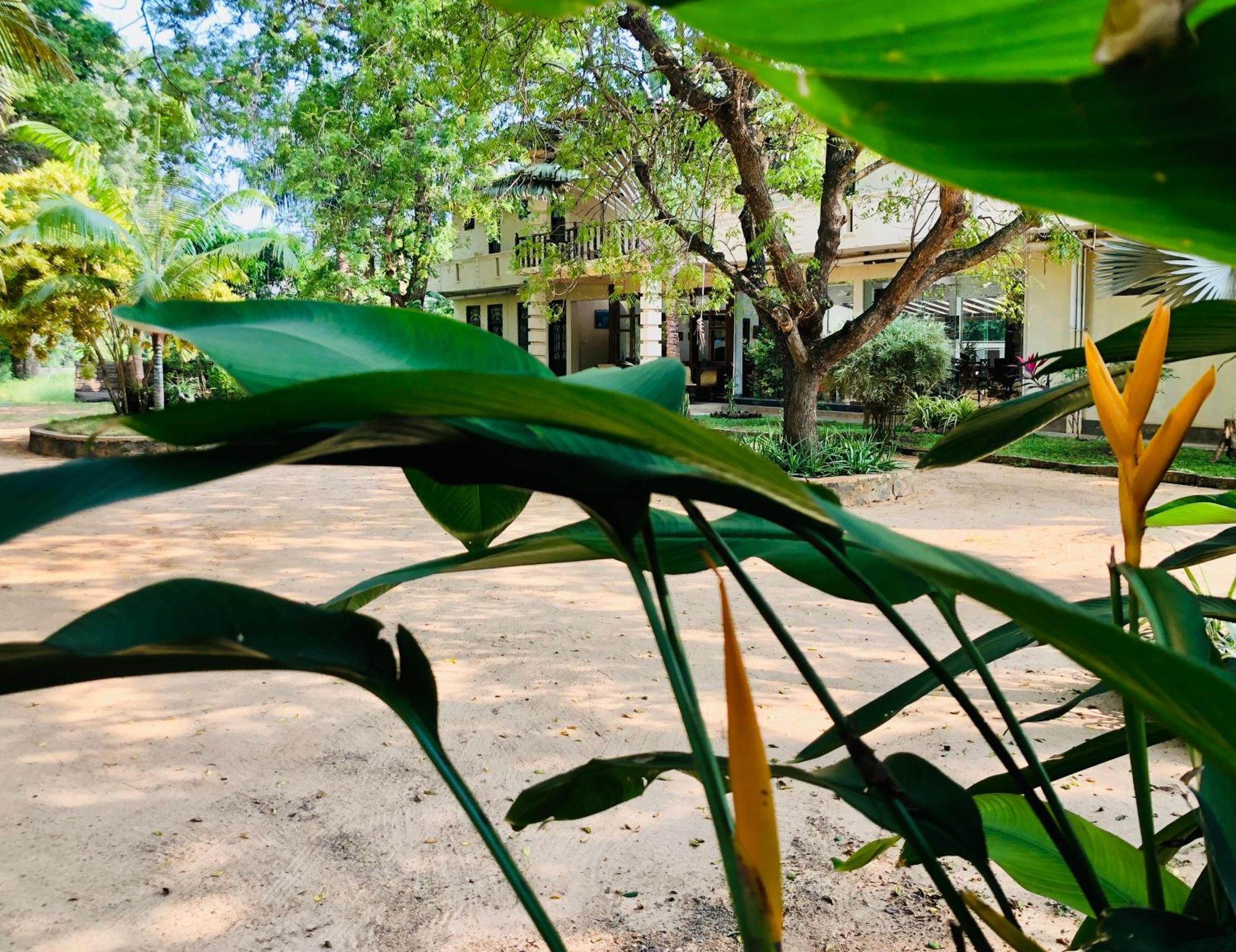 Saman Resort Yala Tissamaharama Bagian luar foto