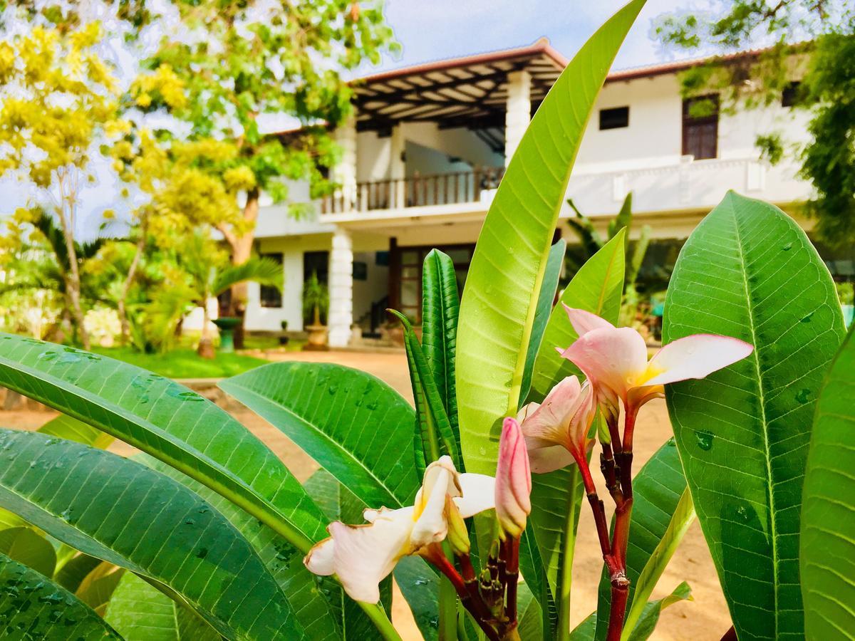 Saman Resort Yala Tissamaharama Bagian luar foto